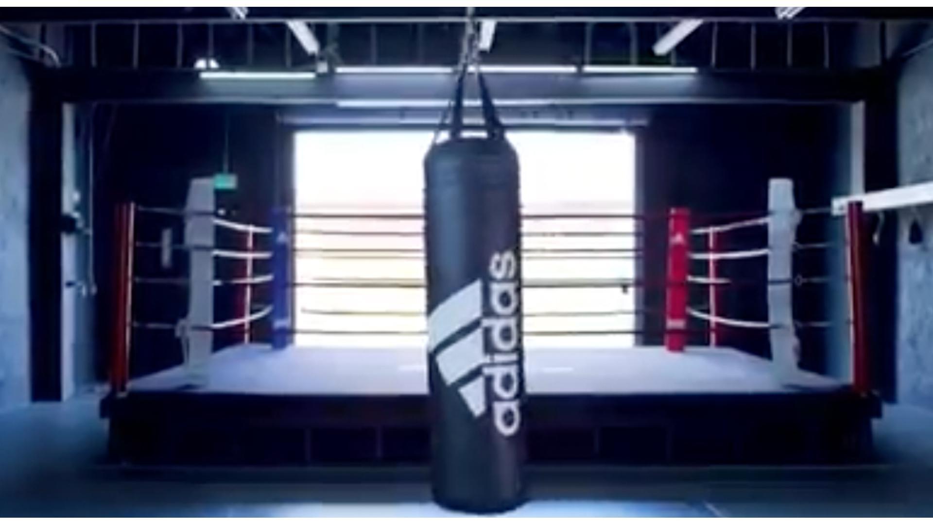 Here To Create History - The brand new adidas boxing pro range