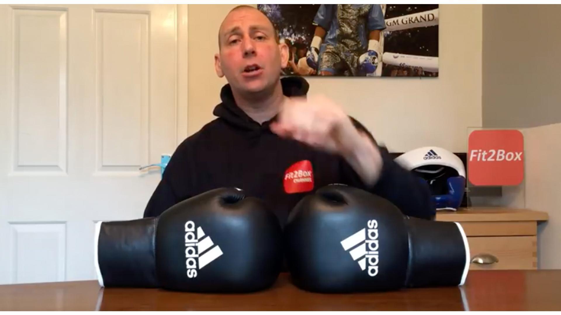 ADIDAS PRO BOXING GLOVES REVIEW